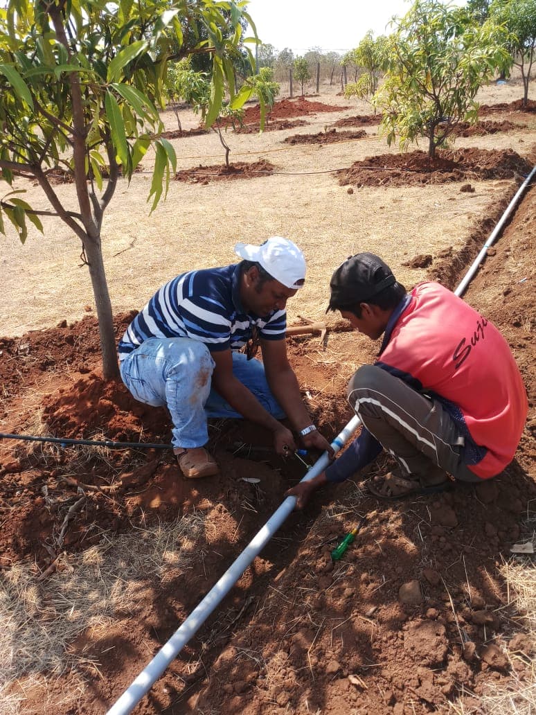 Volunteers install a drip line so newly planted trees can be watered.
